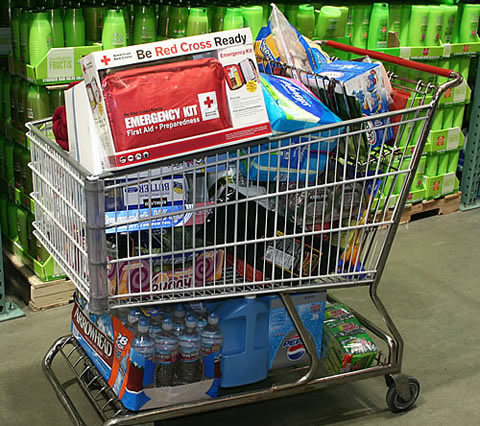 Worth More Than a Cart Full of Costco Products